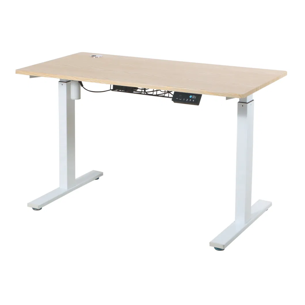 China Factory Ergonomic Electric Height Adjustable Office Desk/ Standing Desk Sample Customization